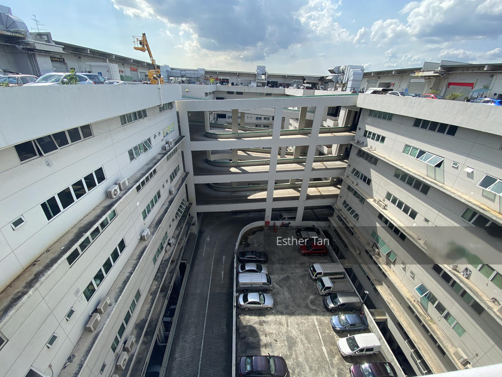 Pioneer Point (D22), Factory #267220851